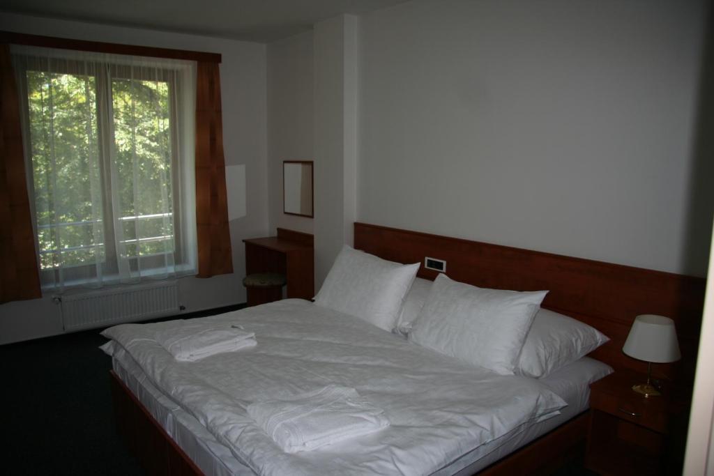 Lazensky Hotel Park Poděbrady Δωμάτιο φωτογραφία